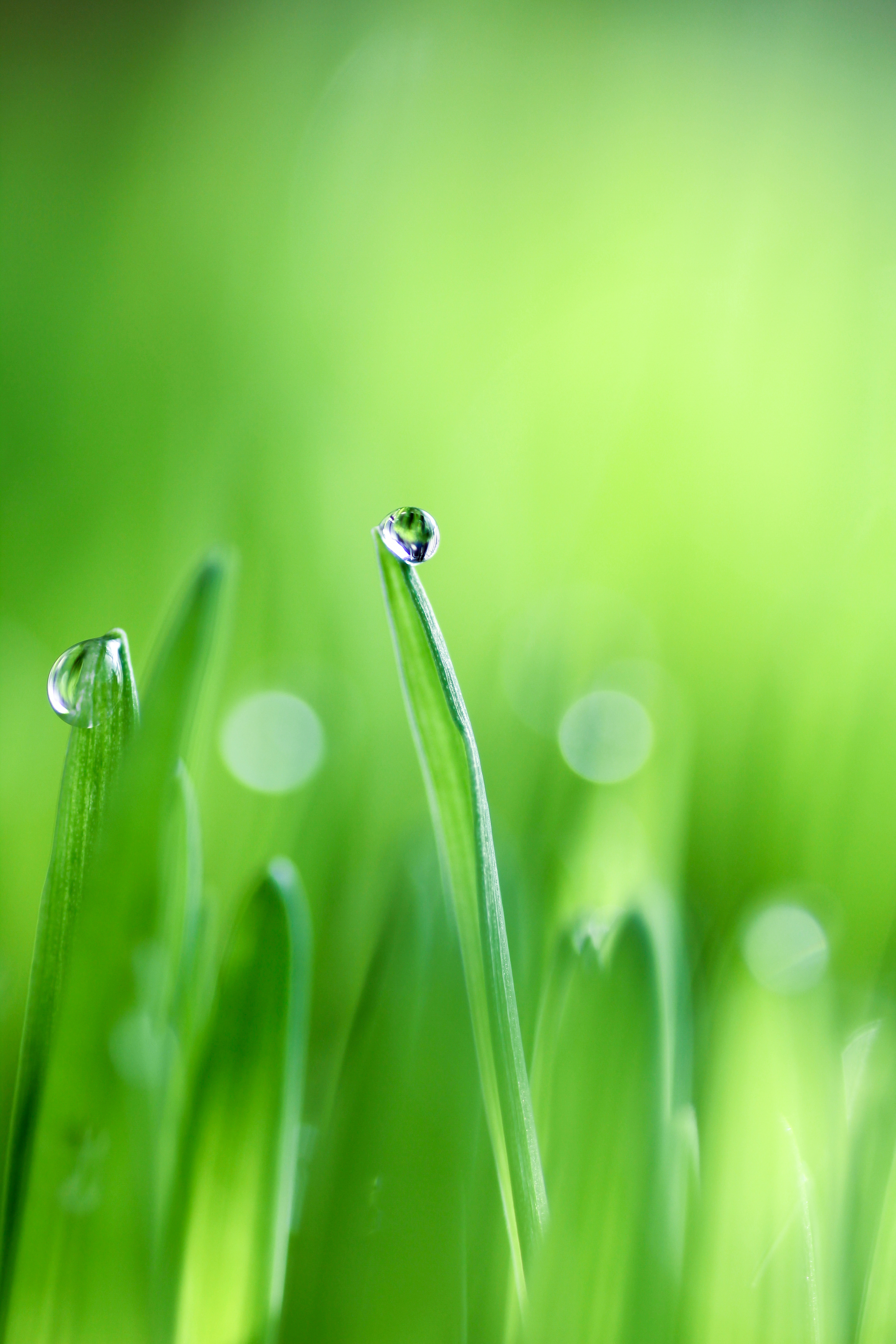 메디투어부산(chi)