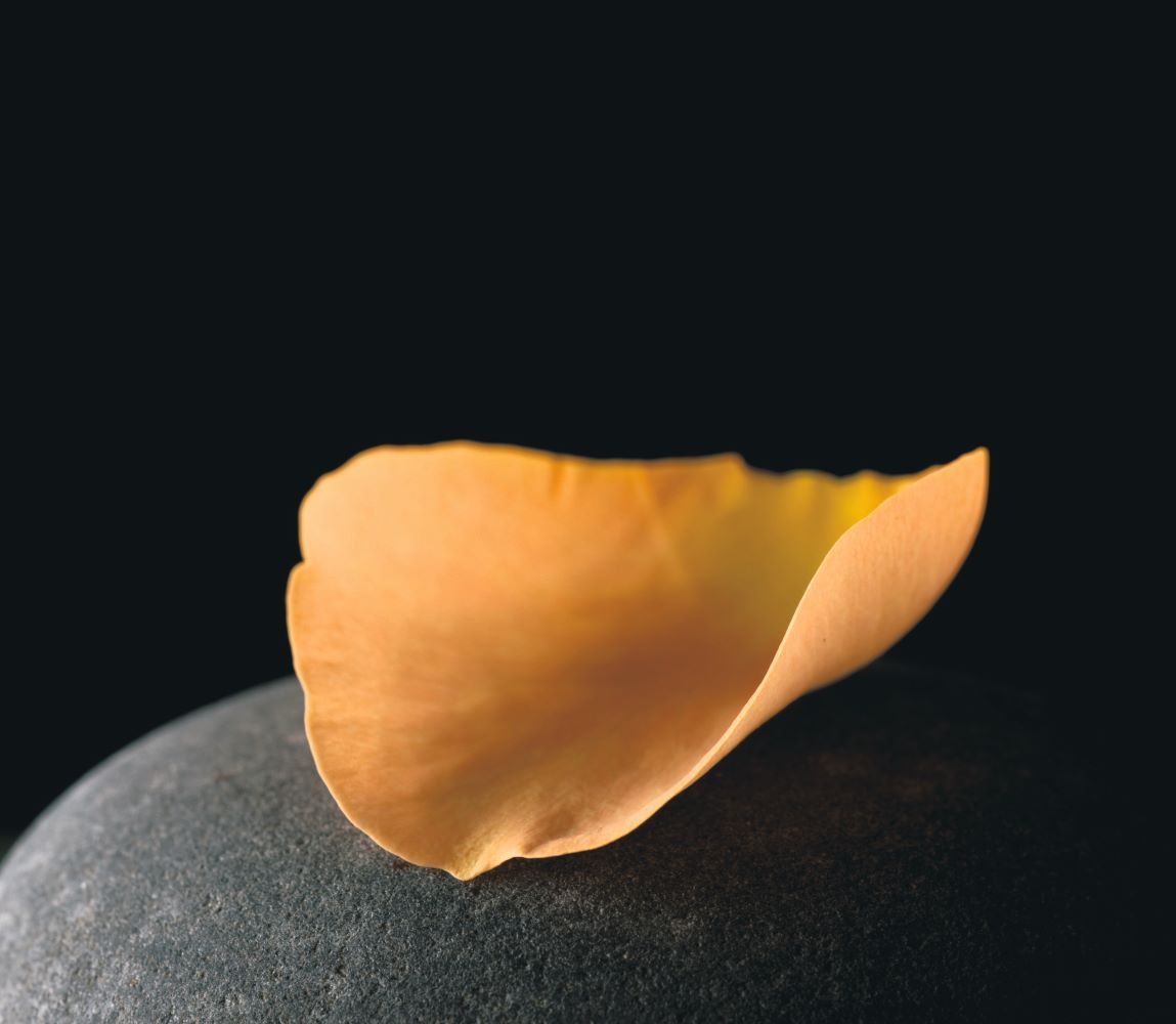 메디투어부산(chi)