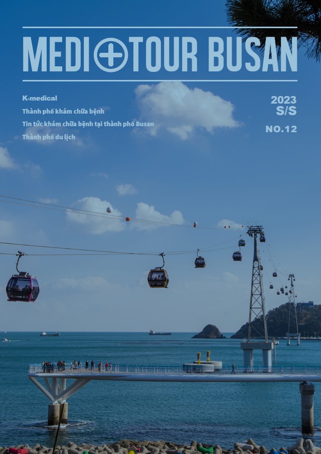 MEDI TOUR BUSAN(2023 S/S)(Vietnamese)